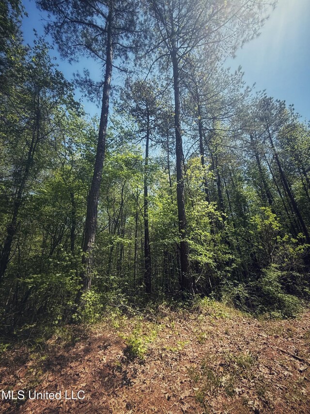 Holly Grove Meeks Rd, Cruger, MS 38924