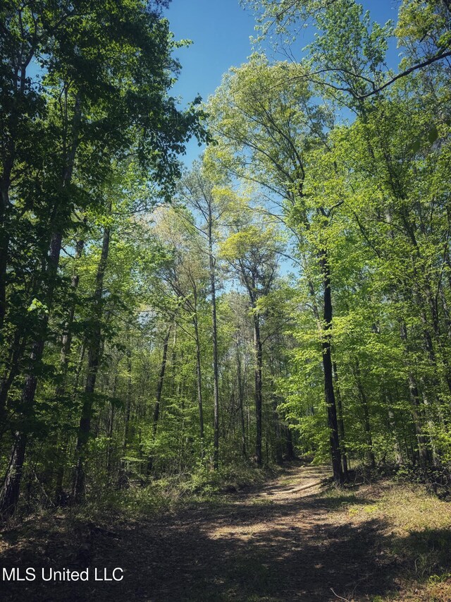 Holly Grove Meeks Rd, Cruger, MS 38924