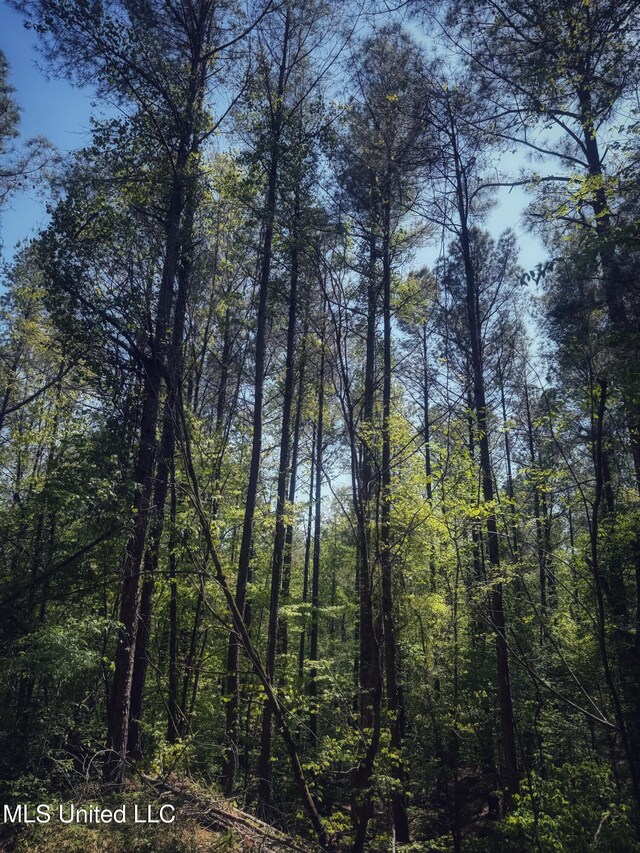 Holly Grove Meeks Rd, Cruger, MS 38924