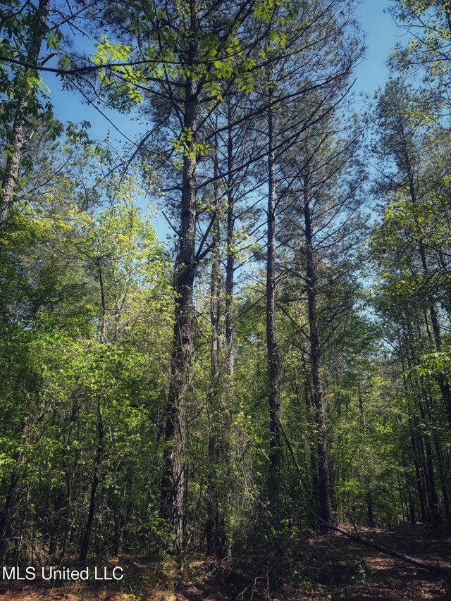 Holly Grove Meeks Rd, Cruger, MS 38924