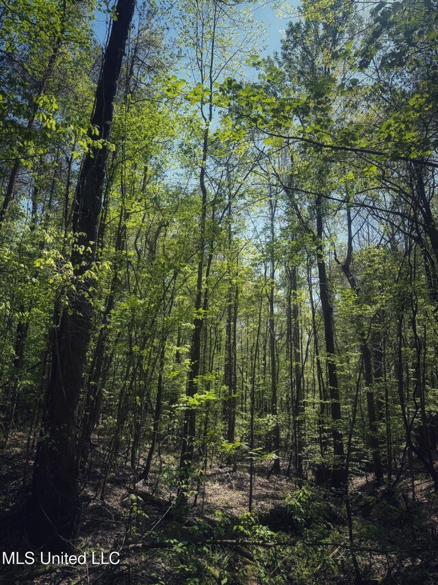 Holly Grove Meeks Rd, Cruger, MS 38924