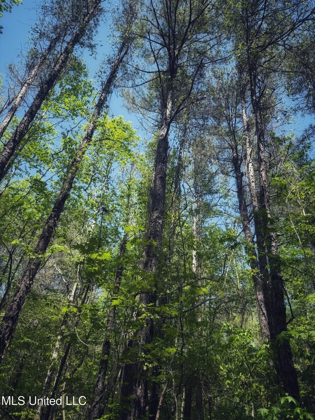 Holly Grove Meeks Rd, Cruger, MS 38924