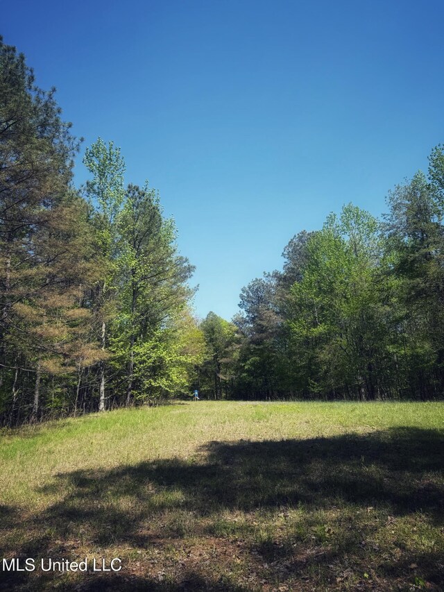 Holly Grove Meeks Rd, Cruger, MS 38924