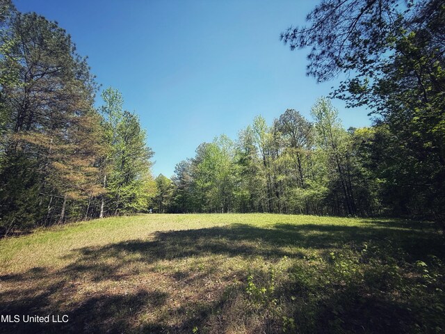 Holly Grove Meeks Rd, Cruger, MS 38924