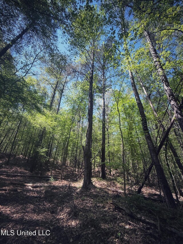 Holly Grove Meeks Rd, Cruger, MS 38924