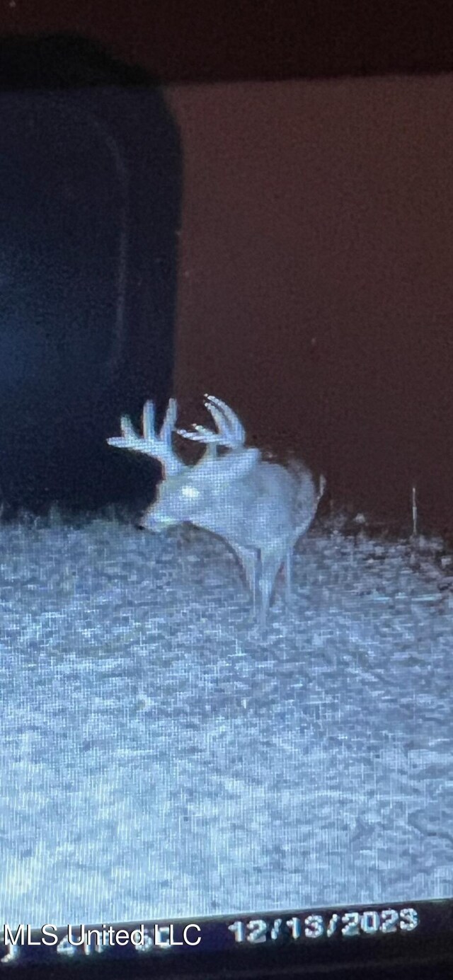 Holly Grove Meeks Rd, Cruger, MS 38924