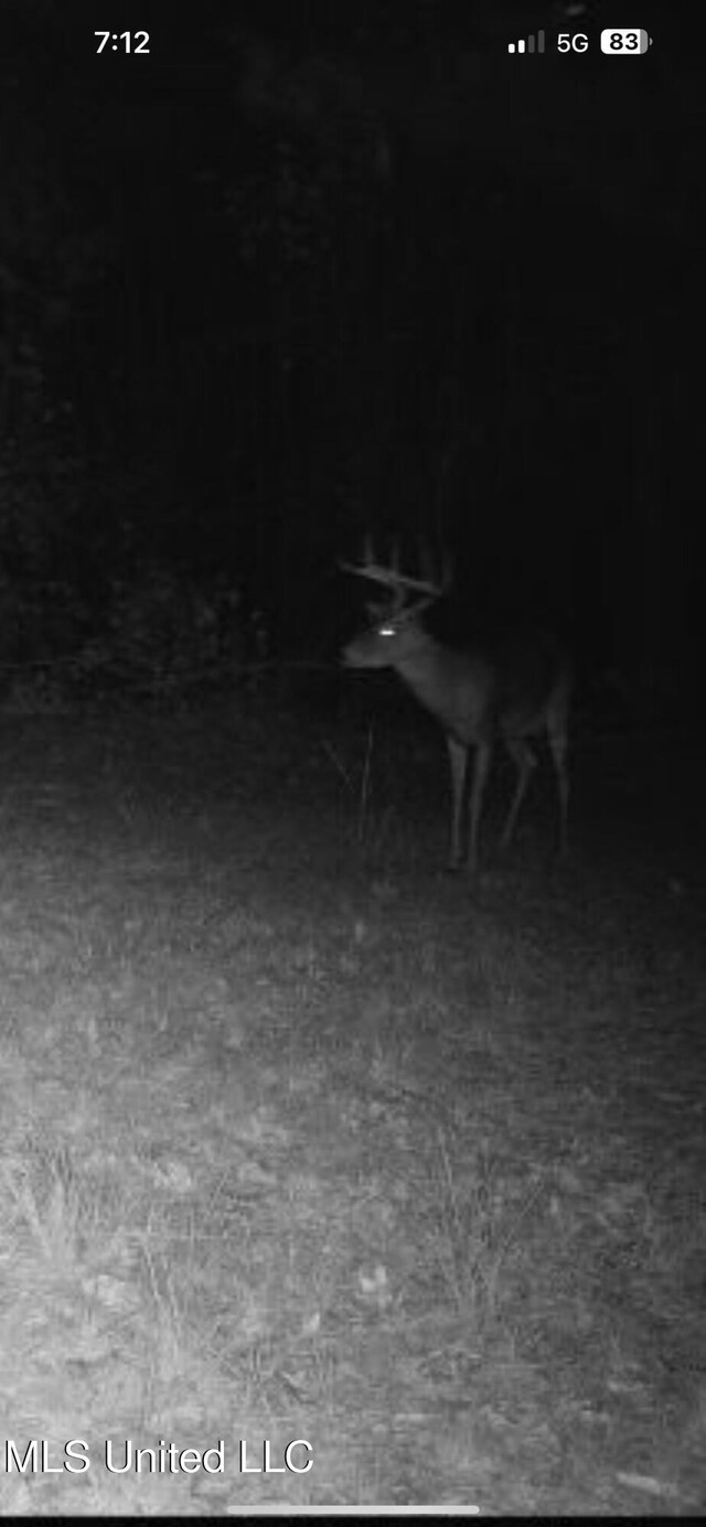 Holly Grove Meeks Rd, Cruger, MS 38924
