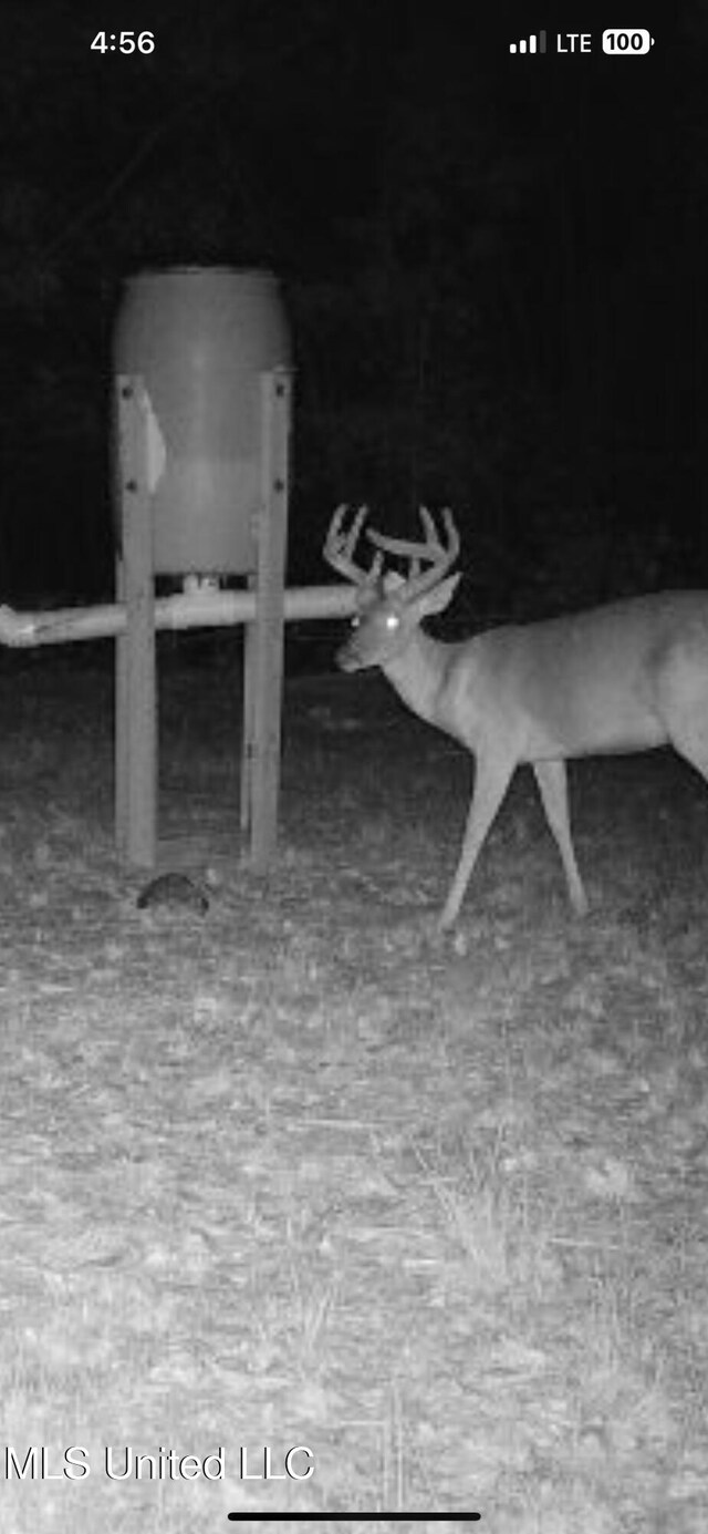 Holly Grove Meeks Rd, Cruger, MS 38924