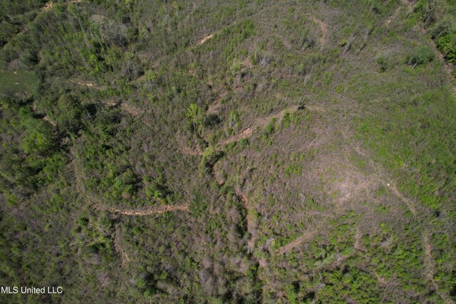 Holly Grove Meeks Rd, Cruger, MS 38924