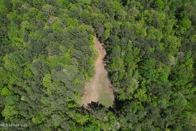 Holly Grove Meeks Rd, Cruger, MS 38924