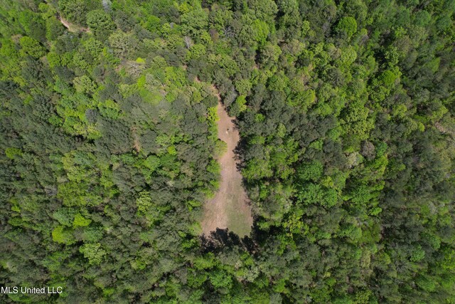 Holly Grove Meeks Rd, Cruger, MS 38924