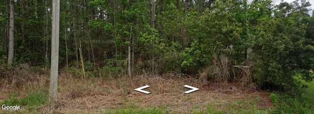 E Newton St, Bay Saint Louis MS, 39520 land for sale