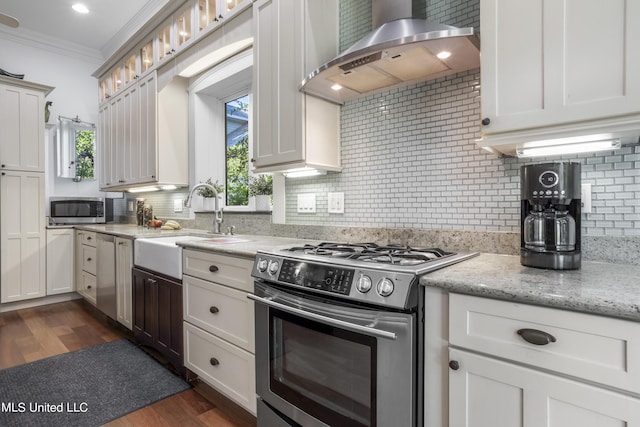 kitchen featuring wall chimney range hood, crown molding, appliances with stainless steel finishes, a sink, and dark wood-type flooring
