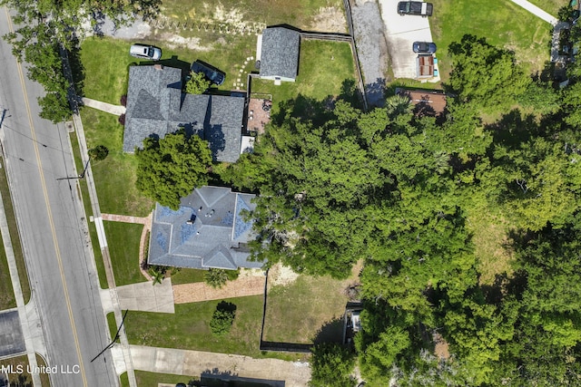 bird's eye view