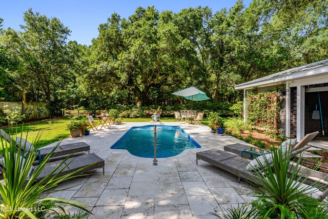 view of pool with a patio