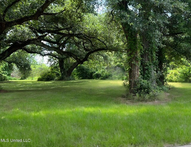 Fournier Ave, Gulfport, MS 39501