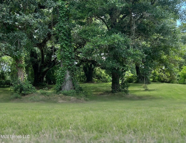Fournier Ave, Gulfport, MS 39501