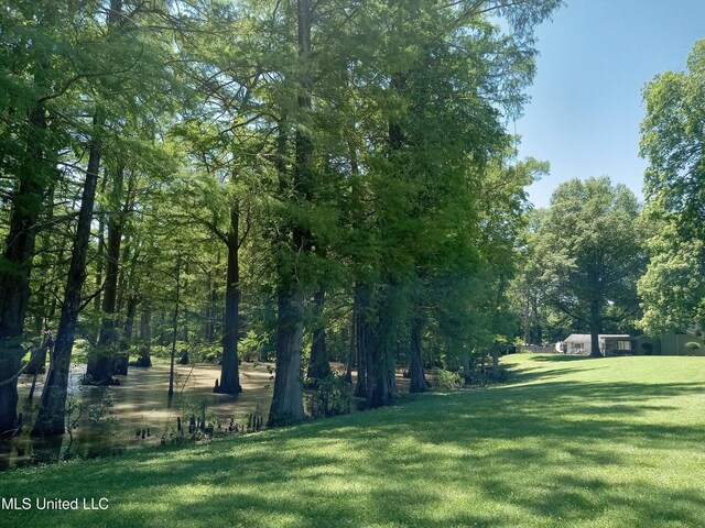 114 S 49th Hwy, Indianola, MS 38751 - view of grassy yard