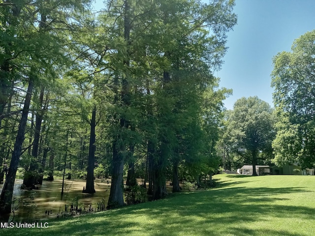 114 S 49th Hwy, Indianola, MS 38751 - view of green lawn