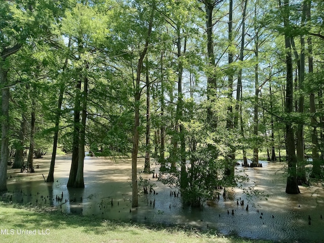 114 S 49th Hwy, Indianola, MS 38751 - view of undeveloped land