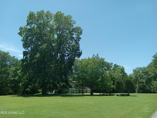 114 S 49th Hwy, Indianola, MS 38751 - view of home's community featuring a lawn