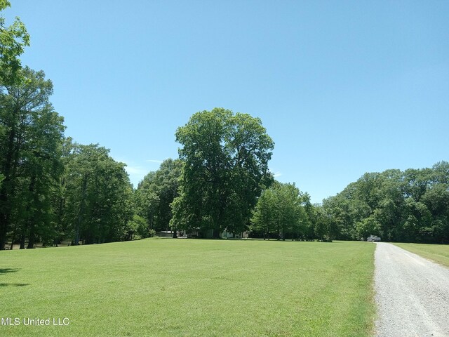 114 S 49th Hwy, Indianola, MS 38751 - view of dirt / gravel road with a forest view