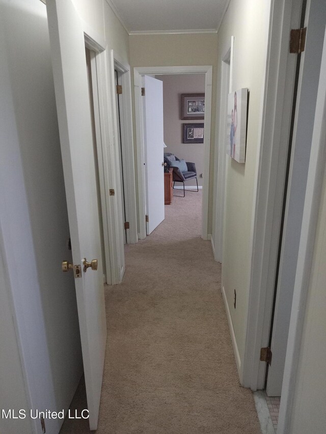 114 S 49th Hwy, Indianola, MS 38751 - hall featuring light colored carpet and crown molding
