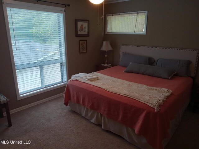 114 S 49th Hwy, Indianola, MS 38751 - bedroom featuring baseboards and carpet flooring