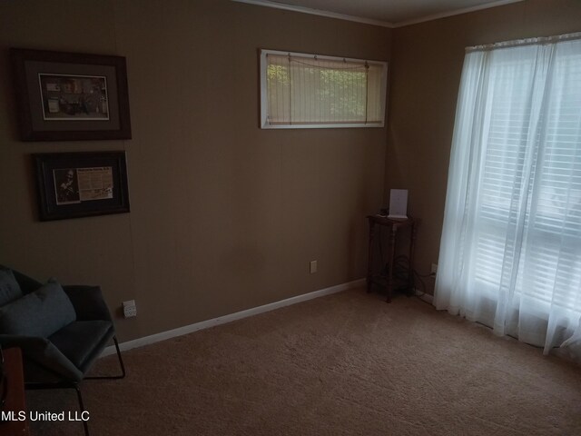 114 S 49th Hwy, Indianola, MS 38751 - sitting room with crown molding, carpet, and baseboards