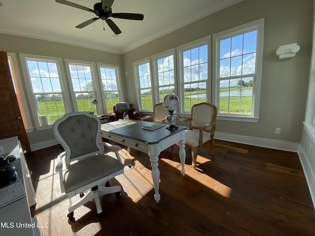 office space featuring ornamental molding, dark hardwood / wood-style floors, and ceiling fan