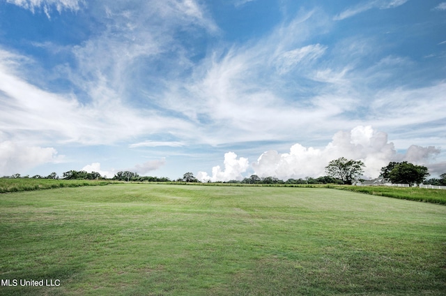 view of yard with a rural view