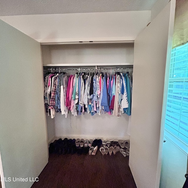 view of closet