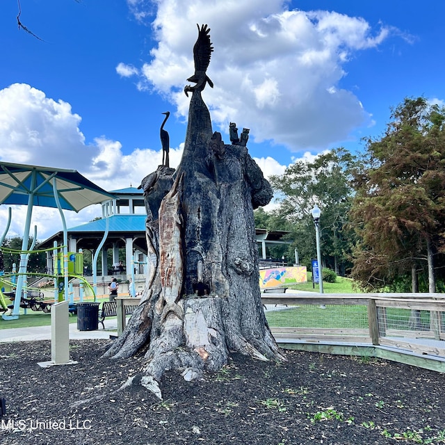 view of community featuring a playground