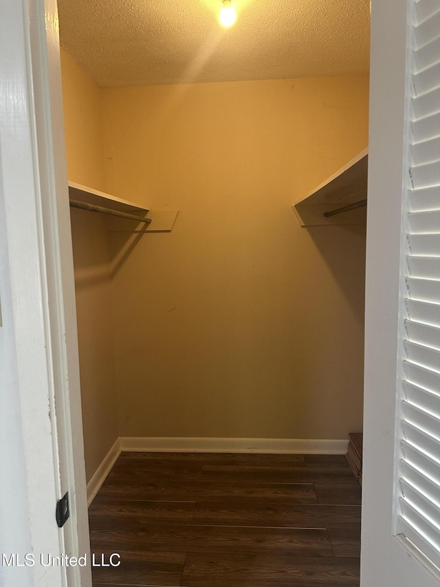 204 Fort Dr, Grenada, MS 38901 - spacious closet with wood finished floors