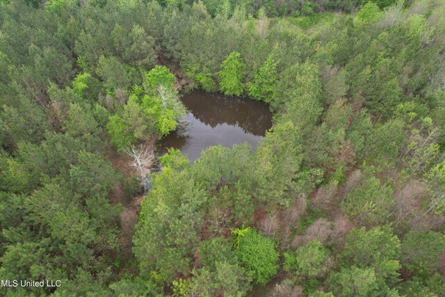 Campbell Creek Rd, Mendenhall, MS 39114