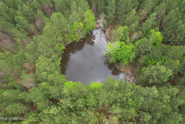 Campbell Creek Rd, Mendenhall, MS 39114