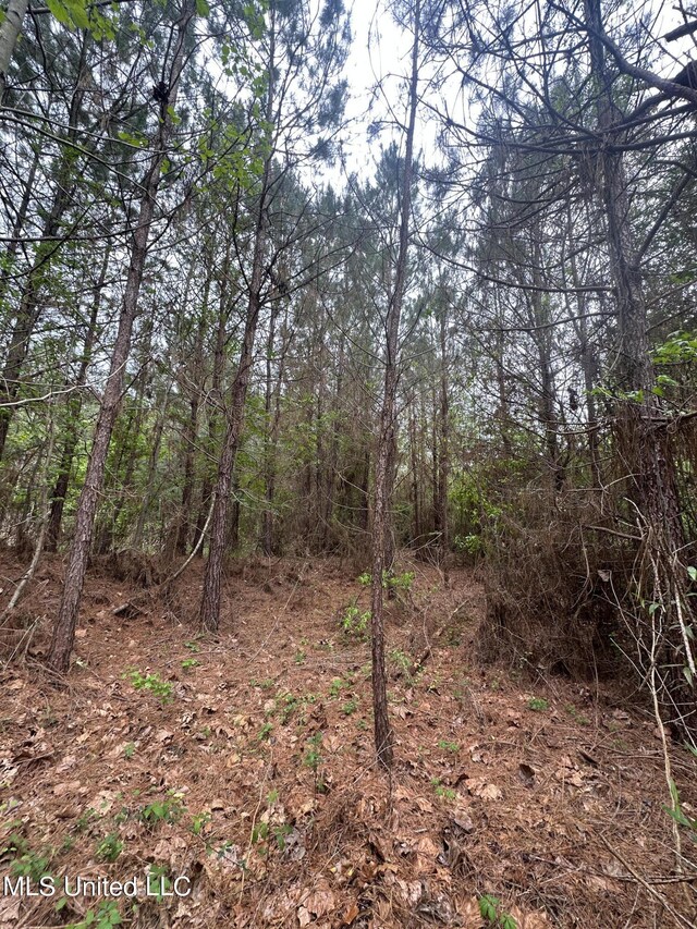 Campbell Creek Rd, Mendenhall, MS 39114