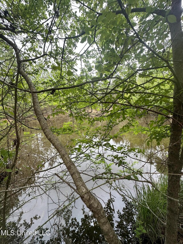 Campbell Creek Rd, Mendenhall, MS 39114