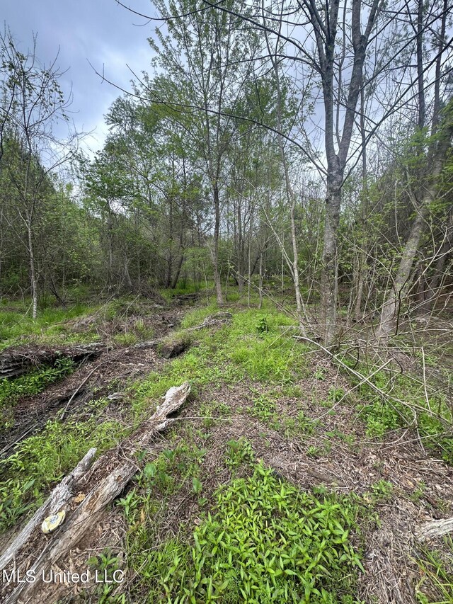 Campbell Creek Rd, Mendenhall, MS 39114