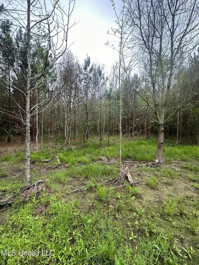 Campbell Creek Rd, Mendenhall, MS 39114