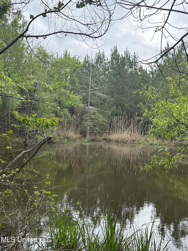 Campbell Creek Rd, Mendenhall, MS 39114