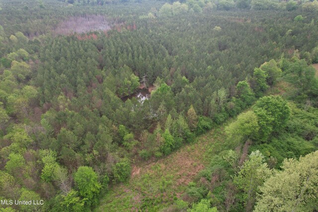 Campbell Creek Rd, Mendenhall, MS 39114