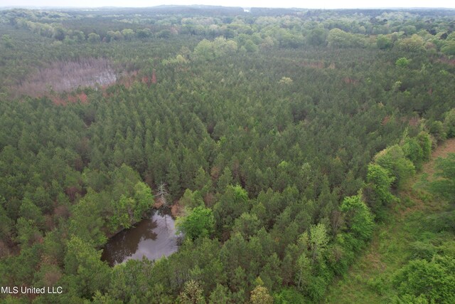 Campbell Creek Rd, Mendenhall, MS 39114