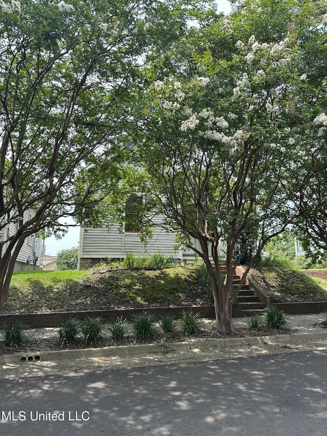 310 N Rankin St, Natchez, MS 39120 - view of side of property