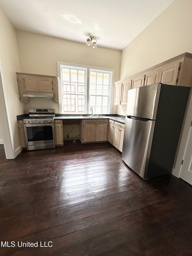 310 N Rankin St, Natchez, MS 39120 - kitchen featuring appliances with stainless steel finishes, a sink, dark wood-style floors, light brown cabinetry, and ventilation hood