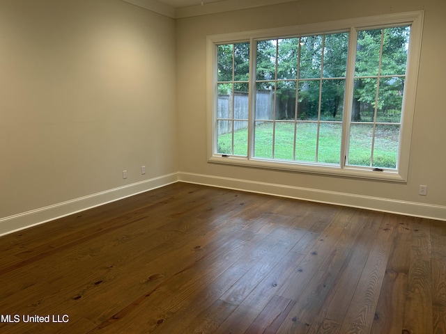 spare room featuring a healthy amount of sunlight and dark hardwood / wood-style flooring