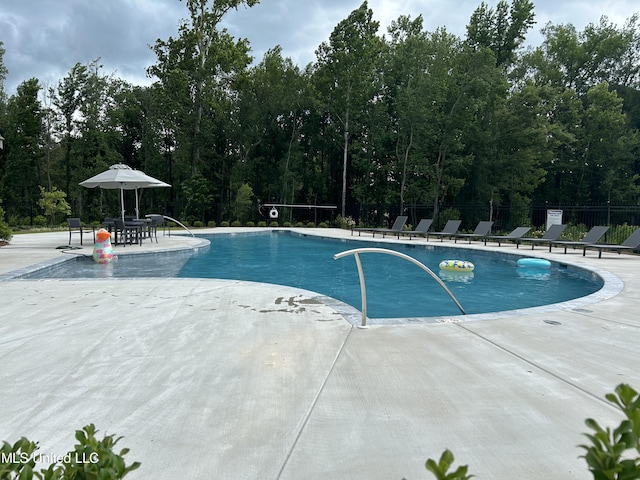 view of swimming pool with a patio area