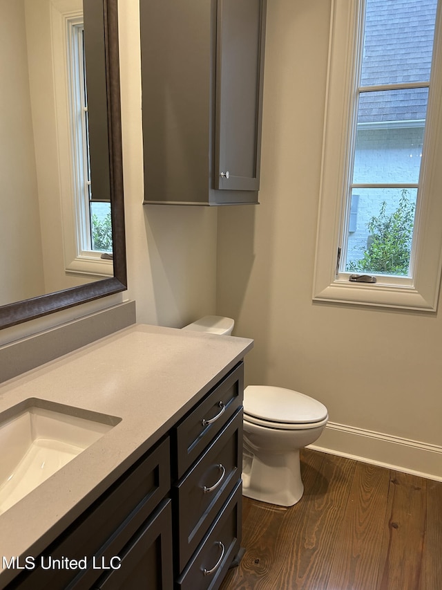 bathroom featuring toilet, hardwood / wood-style floors, and vanity