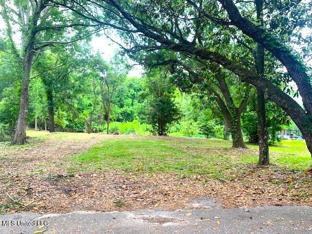 408 Ruskin Ave, Ocean Springs, MS 39564