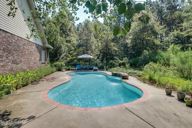 view of swimming pool with a patio area and pool water feature